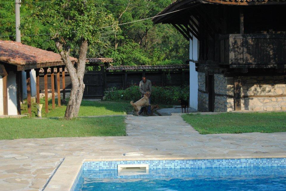 Ecopark Elena Hotel Exterior foto