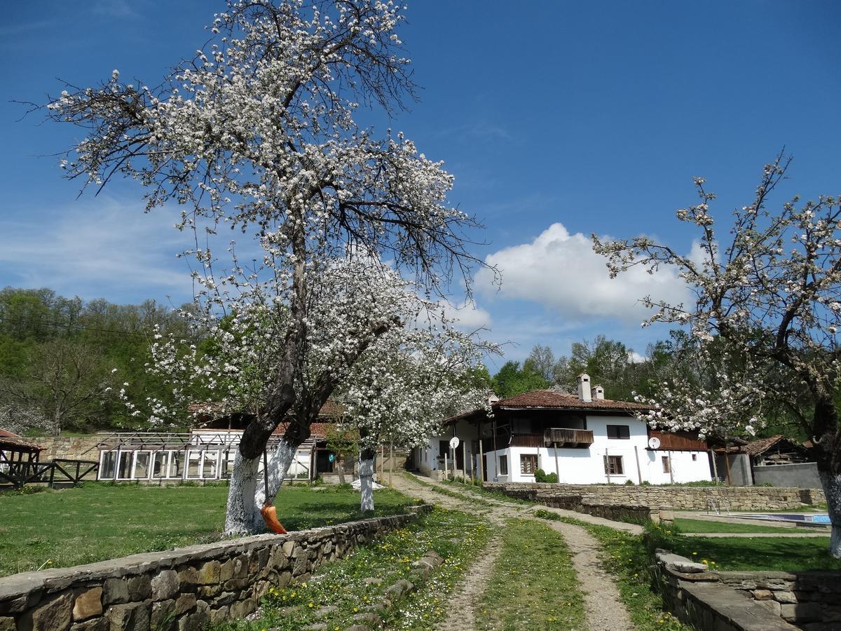 Ecopark Elena Hotel Exterior foto