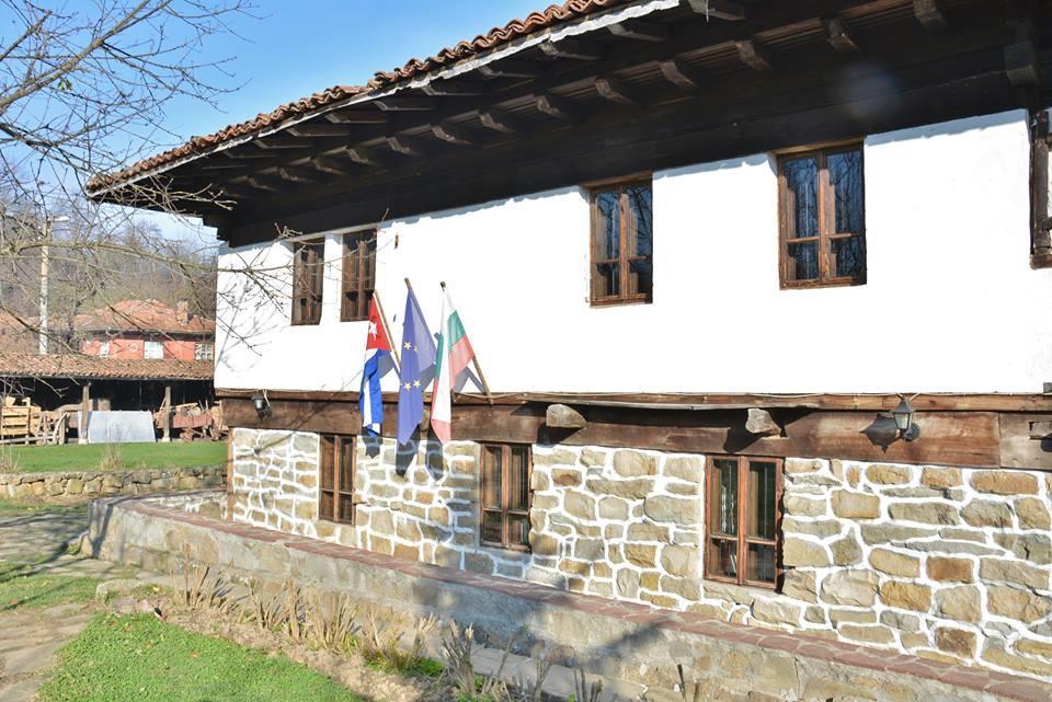 Ecopark Elena Hotel Exterior foto